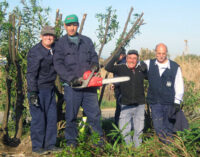 Corso per Giardinieri