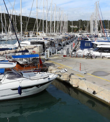 Promotore dei servizi del porto turistico_Sardegna Academy
