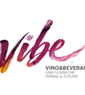 VIBE – Corsi per disoccupati